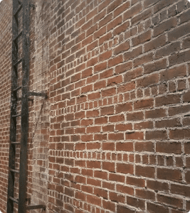Red brick wall with metal ladder.